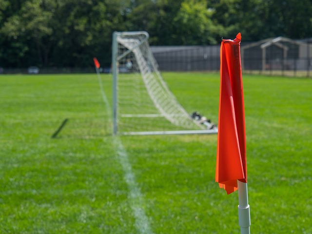 女生打高尔夫打中野鸭，鸭在湖中走，高尔夫从天上来