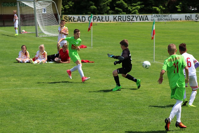 CBA球队巡礼：辽宁——阵容大改战力锐减，外援将决定上限