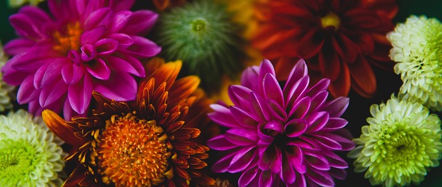 德国杯1／8决赛：拜仁3-2柏林联合 凯恩破门+送点柏林联合两送乌龙